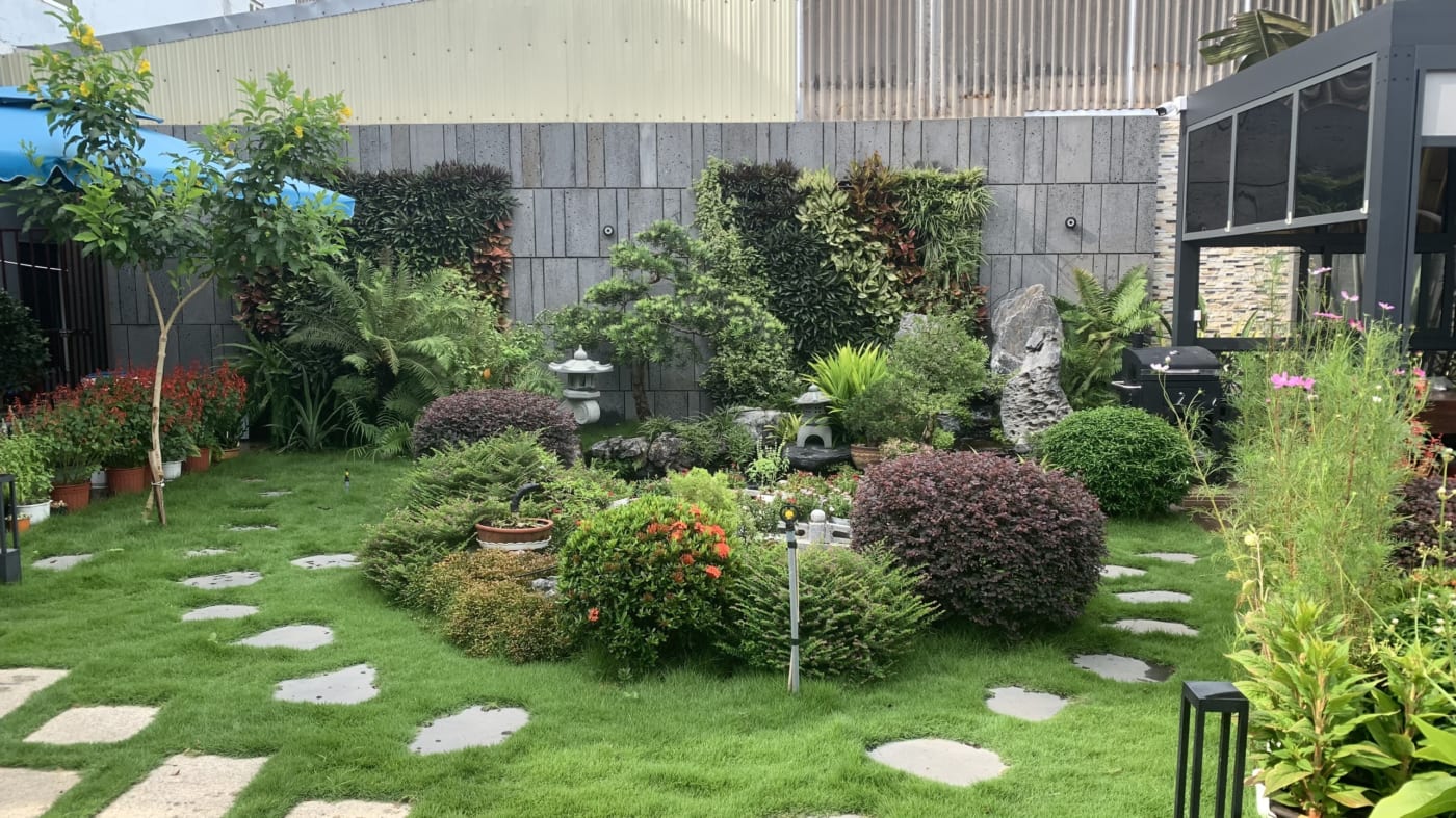 Thì công, chăm sóc sân vườn Châu Ổ huyện Bình Sơn 