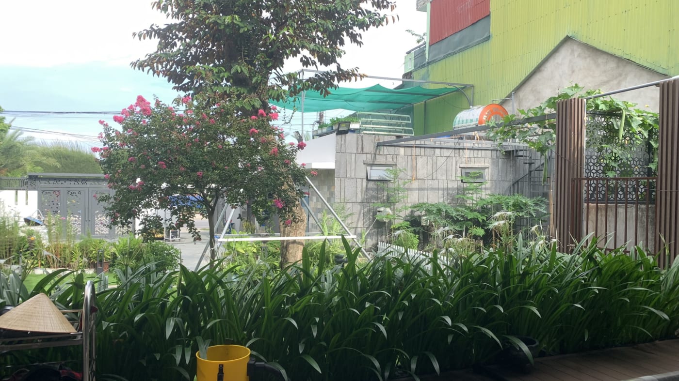 Thì công, chăm sóc sân vườn Châu Ổ huyện Bình Sơn 