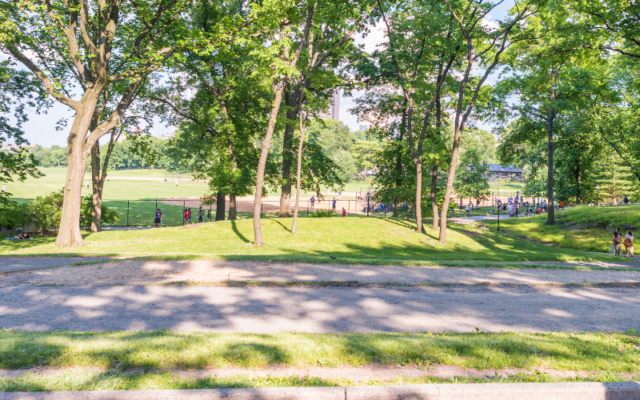 cay-cong-trinh-ơ-công-viên